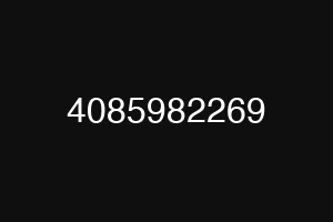 4085982269