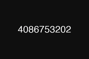 4086753202