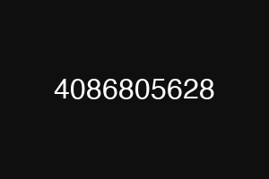 4086805628