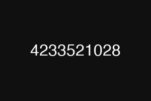 4233521028