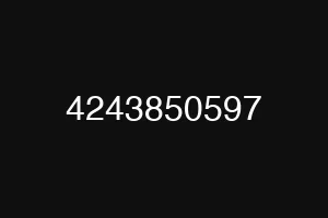 4243850597