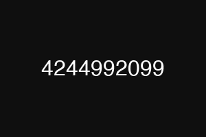 4244992099